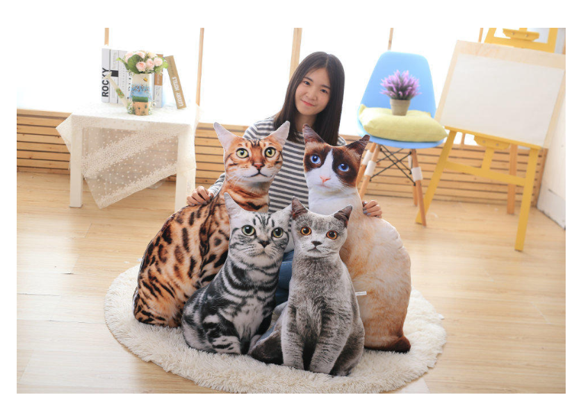 Plush Toy Cat Pillow - 3D Realistic Pet Design